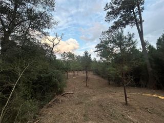 Tract 12 FM 230 #12, Lovelady, TX 75851