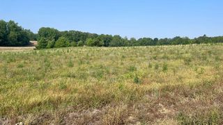41 Crad Baskin Dr #41, Burlison, TN 38015