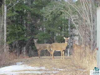 Xxxx Loveland Rd, Brule, WI 54820