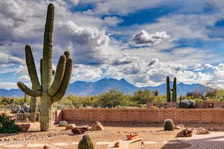 600 N  Alexis Loop, Green Valley, AZ 85614