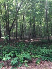 Carolina Loop, Hillsborough, NC 27278
