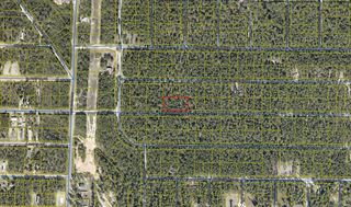 Dogwood Ave E, Defuniak Springs, FL 32433