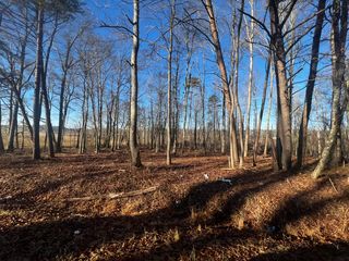 Owenby Rd, Trenton, GA 30752
