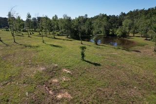 60 Lees Ln, Poplarville, MS 39470