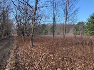 Cooper Hill Rd, Hinsdale, NY 14743
