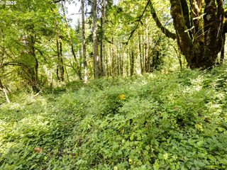 28003 E  Lost Ln, Welches, OR 97067