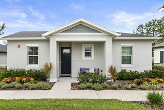 1810 Suncoast Crossings Isle, Odessa, FL 33556