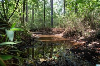 County Road 87 #1, Roanoke, AL 36274