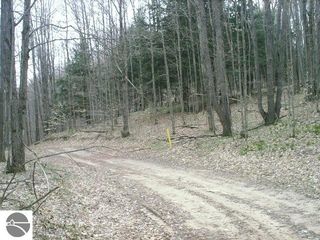 Off Of #M-66, Mancelona, MI 49659