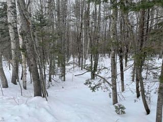 TBD Freeman Ridge Road, Freeman Township, ME 04983