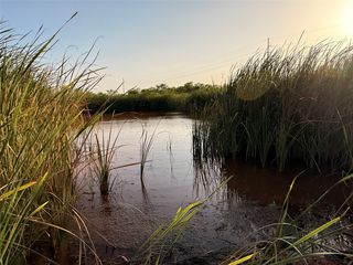 Township Road 5FM #604, Ovalo, TX 79541