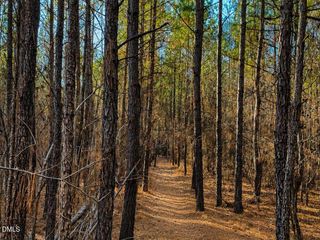 Scottie Dr, Creedmoor, NC 27522