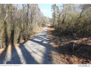 County Road 223, Cullman, AL 35057
