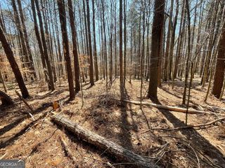 Joe Cook Rd #4, Franklin, GA 30217