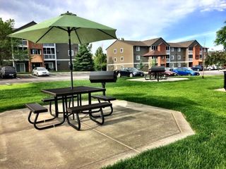 Apartments For Rent In Rapid City Sd 24 Rentals Trulia