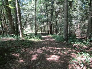Lot 10 White Creek Loop, Deer Lodge, TN 37726