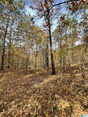 Greystone Ln #4, Talladega, AL 35160