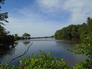 Teal Ct, Heathsville, VA 22473