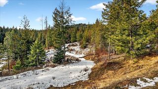 4467F Williamson Rd, Clayton, WA 99110