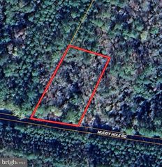 Muddy Hole Rd, Tyaskin, MD 21865