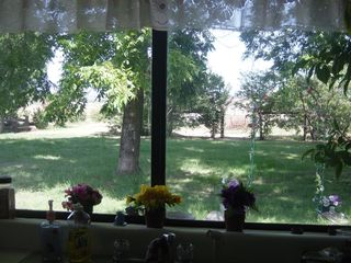 Veiw from kitchen
