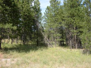 Nhn Aspen Ct, Thompson Falls, MT 59873
