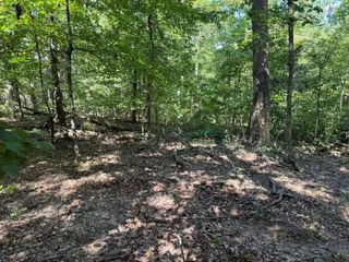 Lot 16 Horden Ln, Bella Vista, AR 72714