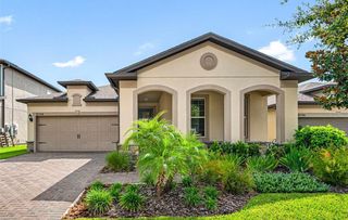 18744 Birchwood Groves Dr, Lutz, FL 33558