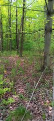 Carter Rd, Rhodes, MI 48652