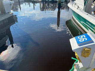 4396 Baldwin Ave. #S-56 40' slip, Little River, SC 29566