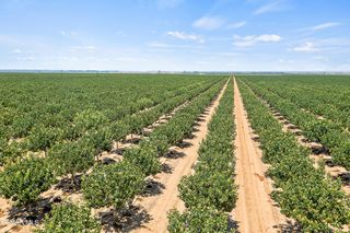 Teale Rd, Arvin, CA 93203