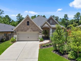 228 W  Netleaf Ct, Montgomery, TX 77316