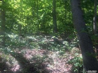 Spring Hollow Road, Nissequogue, NY 11780
