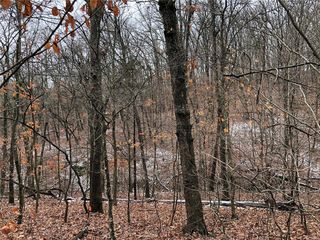 2535 Alpine Woods Dr, Wright City, MO 63390