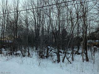Morgan Rd, Montville, OH 44064