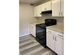 Apartments For Rent In Holly Hill Fl 16 Rentals Trulia Apartments For Rent In Holly Hill Fl 16 Rentals Trulia