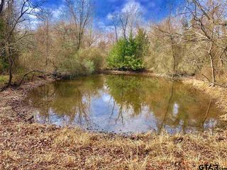 14AC County Road 3344 #1, Pickton, TX 75471