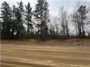 Birdsview Ln NW, Bemidji, MN 56601