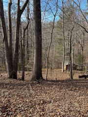 Thrasher Ln #1, Goodview, VA 24095