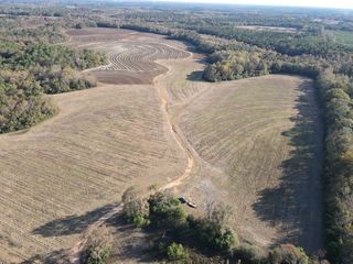 19800 Tervin Mill Rd, Andalusia, AL 36421