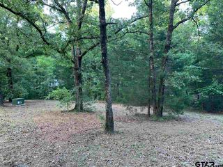 Lot 18 County Road 4263, Emory, TX 75440