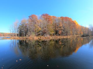Vl S Eden Lake Rd, Custer, MI 49405