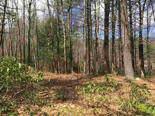 300 Route 13 Road #B-65-2, Brookline, NH 03033