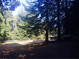 Barn & pasture