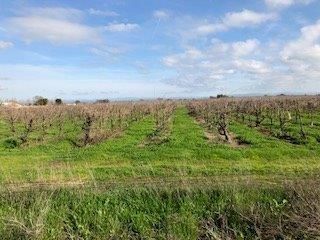 25410 N  Mackville Rd, Clements, CA 95227