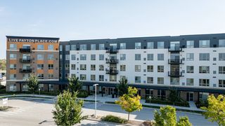 3401 Payton Pl #142, Arlington Heights, IL 60005