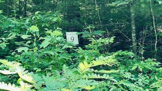 Lot 9 River Rd, Franklin, NC 28734