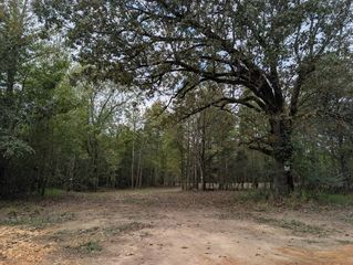County Road 141 #2, Florence, AL 35633