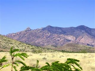W  Eagle Wings Rd, Pearce, AZ 85625