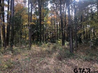 Lot 326 Cardinal Ln, Troup, TX 75789